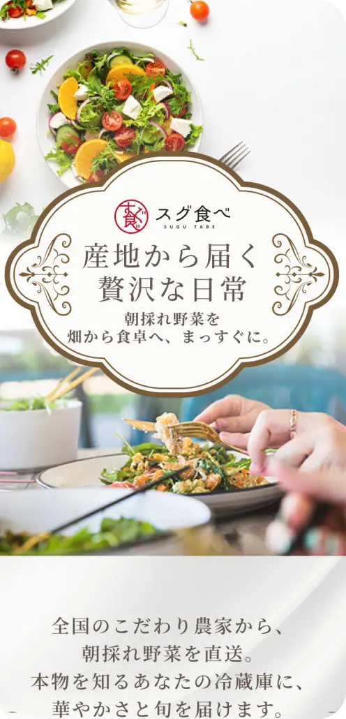 整形外科ホームページの画面